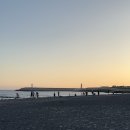 동백목장 이미지