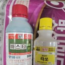 이 농약 써보신분 계실까요~? 이미지