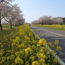 좋은카써비스 이미지