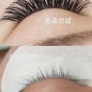 용쥬르샵