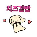 로얄홈인테리어