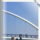 강릉경포물회 이미지