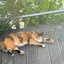 엘아르카 | 대구 비슬산 나만 알고 싶은 브런치 카페 현풍 맛집 : 산엘아르카 내돈내산 솔직후기