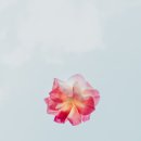 순복음총회신학교 이미지