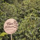 가향농장 이미지