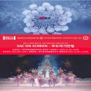 SAC ON SCREEN 발레 호두까기인형 이미지