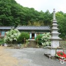칠곡 금곡사 석조여래좌상 이미지