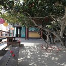 오동도로 이미지