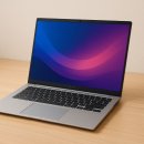 금성사 | LG 노트북: 성능부터 가성비까지