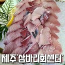 삼바리회센타 | 제주 '삼바리회센타', 제주시 도남동 방어회 후기 (내돈내산)