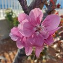 가시나무공원 이미지