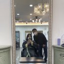 제주홍반장정돈 | 제주연동미용실 살롱하임 신제주점 내돈내산 염색 만족 후기