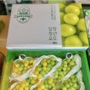 재우농장 네이버블로그