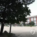 신풍초교(본교) 이미지