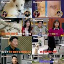 개와늑대의시간 네이버블로그