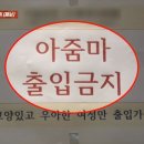 아줌마와 여자 구별법 이미지