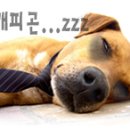 홈디자인로드