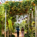 [수성구청] 생각을 담는 정원 이미지