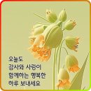 꽃피는 3월 인사말 gif 이미지 이미지