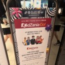 광교상상동물병원 네이버블로그