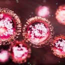 min to MAX 이미지