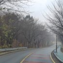 천생산오리사냥 이미지