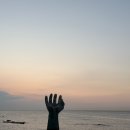 보인촌식당 이미지