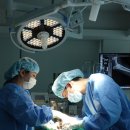 화도동물병원 이미지