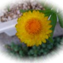 도천어린이집 이미지