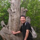 백산초등학교 이미지