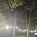 표선면 동산식당 이미지