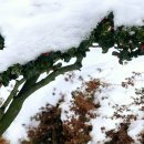 함평자연생태공원 이미지