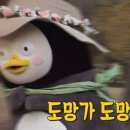 소셜링