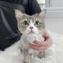 샤론민박 이미지