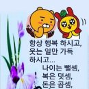 ♤봄의 기운이 피어나는 2월의끝자락에서♧ 이미지