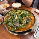 하대동102 | 하대동 맛집 얼큰하고 시원한 한우곱창전골 맛집 광명곱창