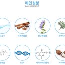 엔오투 이미지