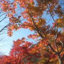 전북 정읍시 내장동, 전남 장성군 북하면 내장산 (731.2m) 이미지