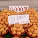 제이키친2015 | #5, 🍊귤머글래? 🐈아니.