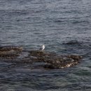 오도2리 이미지