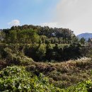 여주-1035 이미지