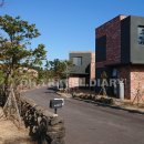 다모리네 이미지