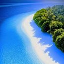 🏝Maldives 🇲🇻 🏝ISLANDS 이미지