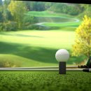 원 골프 이미지