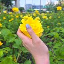 유블랑네일