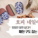 유찡네일
