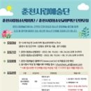 춘천청소년교향악단 이미지