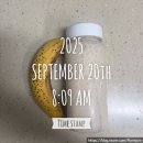 바둑 강좌 | 9/15-9/21 혼자서도 잘 노는 주간일상 (+ 운동, 식단기록)