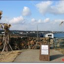 신천목장 이미지