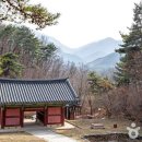 여름, 철원의 시간 속으로 떠나는 특별한 여행 가볼 만한 곳 이미지